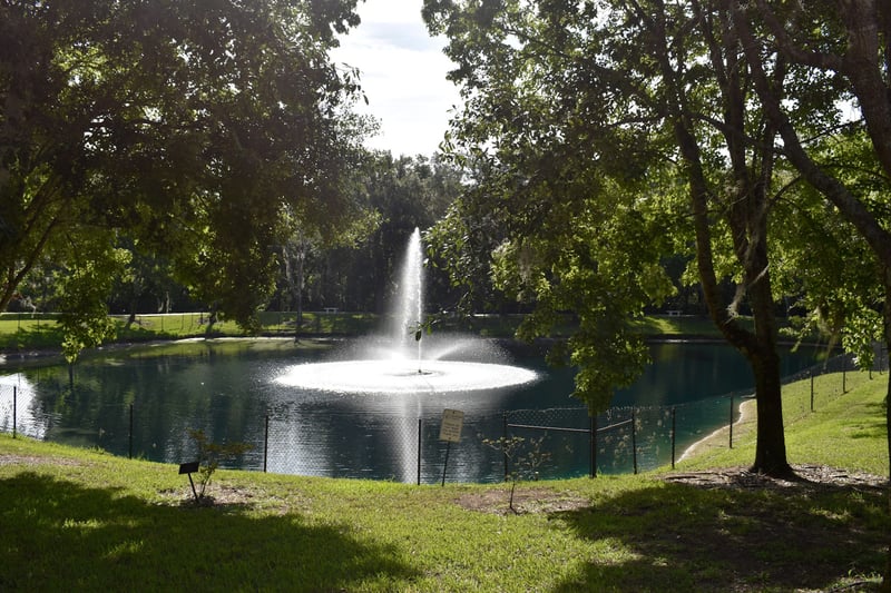 Rucki-pond-med res_edited