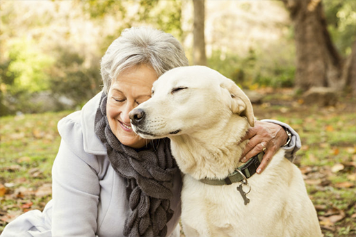 Pet Peace of Mind