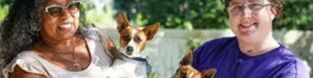 petnews