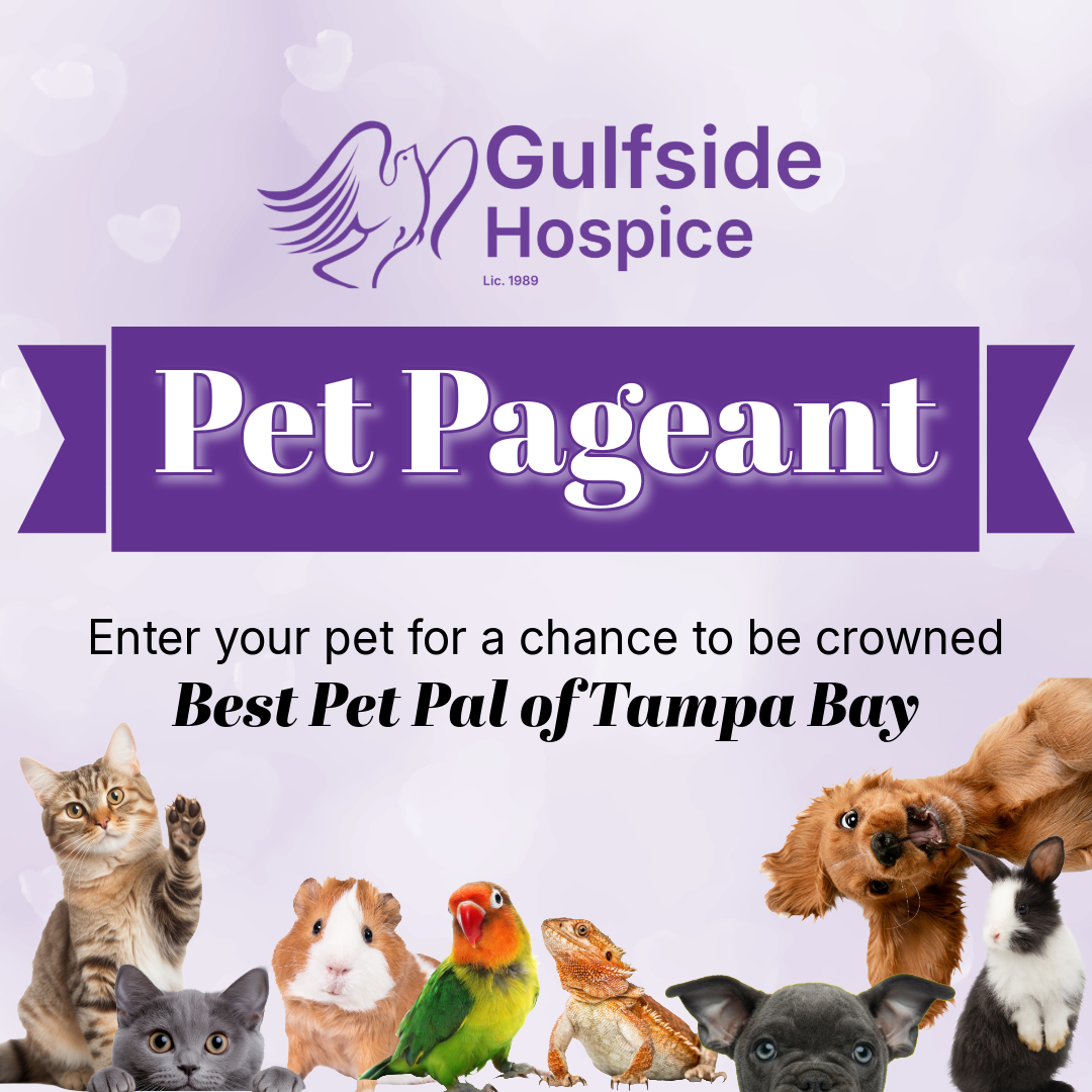 Pet Pageant-2